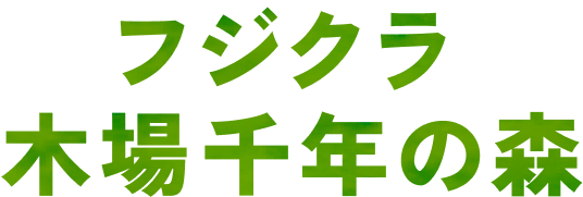 フジクラ 木場千年の森